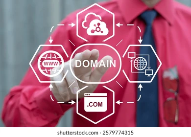 Domain & Hosting